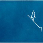 If a Tree Fell in the Woods…