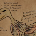 Urban Legends — The Lwarc