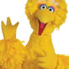 Dream Big. Big Bird Big.
