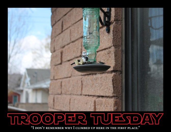 A Stormtrooper sits atop a hummingbird feeder.