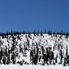 Slim Jim Stew—with Dumplings