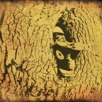 That’s Just The Way It Is…