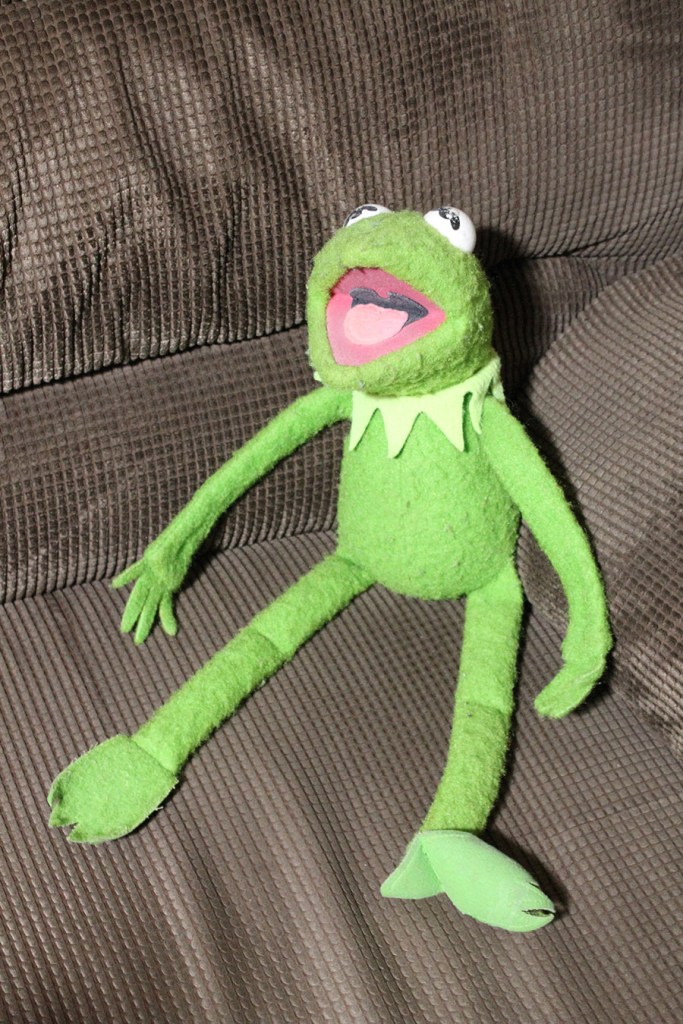 This image has an empty alt attribute; its file name is ah_kermit.jpg